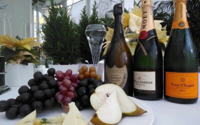 PRZYWITAJ NOWY ROK Z NAJLEPSZYMI SZAMPANAMI!