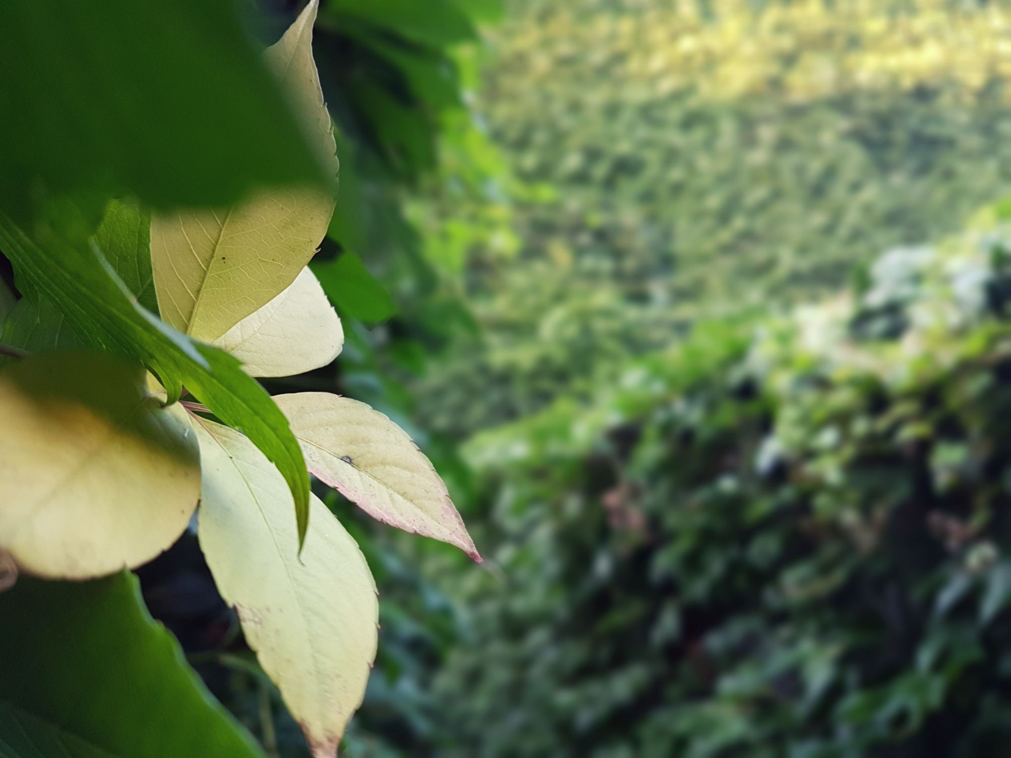 Jesienne opowieści w Nowym Świecie