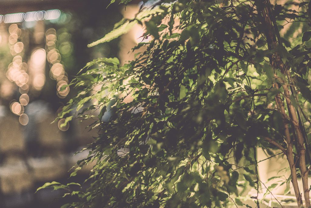 Dekoracje w restauracji Nowy Świat przygotowane na majówkowe spotkania