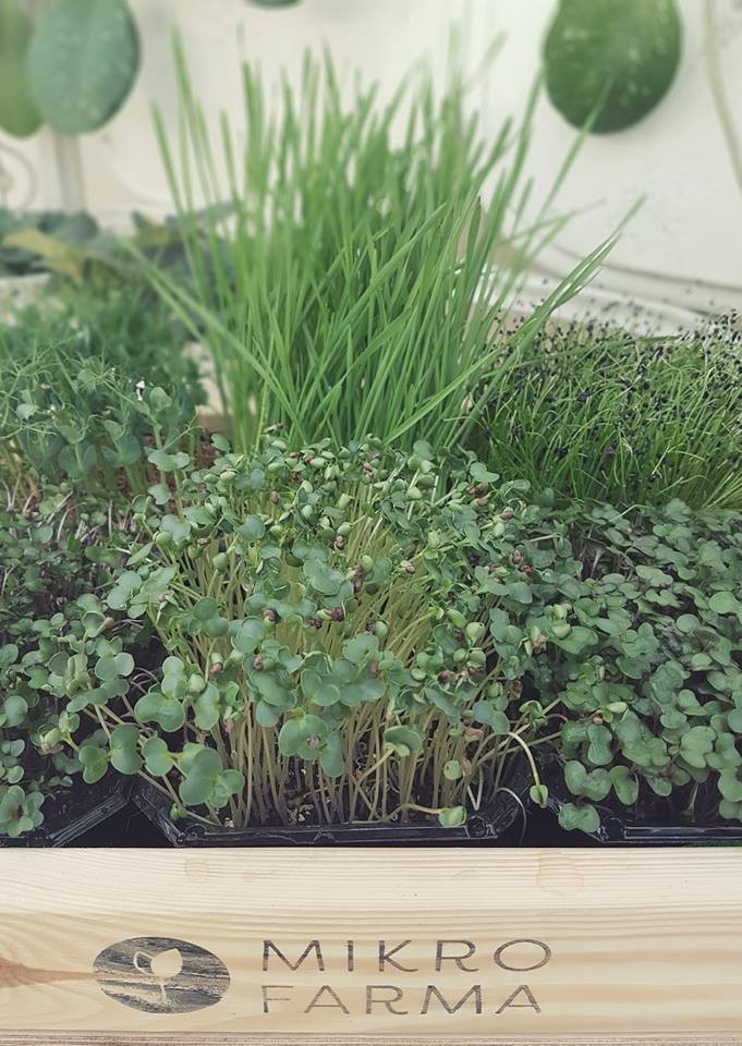 mikrofarma bielsko restauracja Lokalne, świeże produkty w Restauracji Nowy Świat