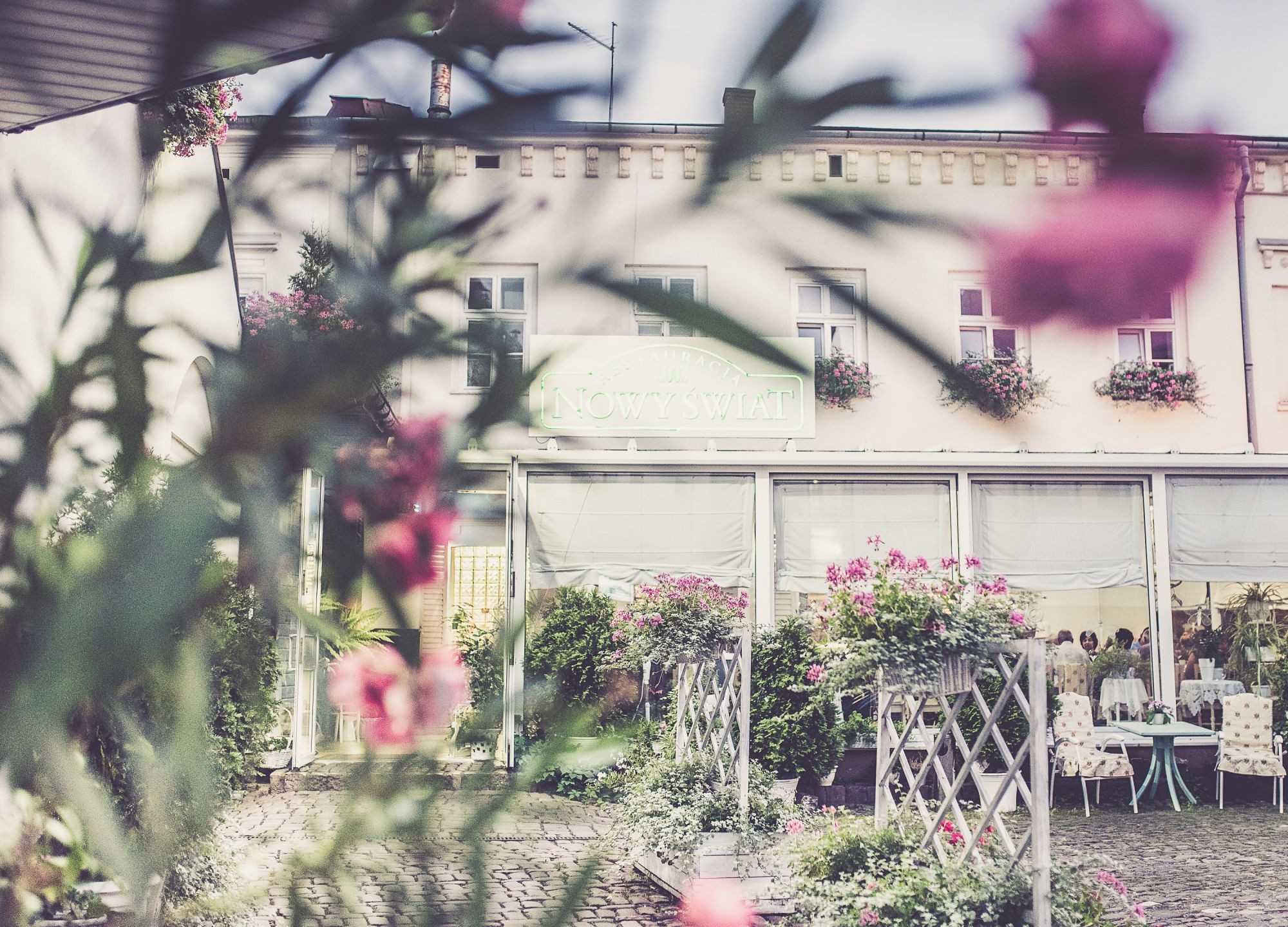 Nowy Świat widok na restauracje Restauracja Nowy Świat