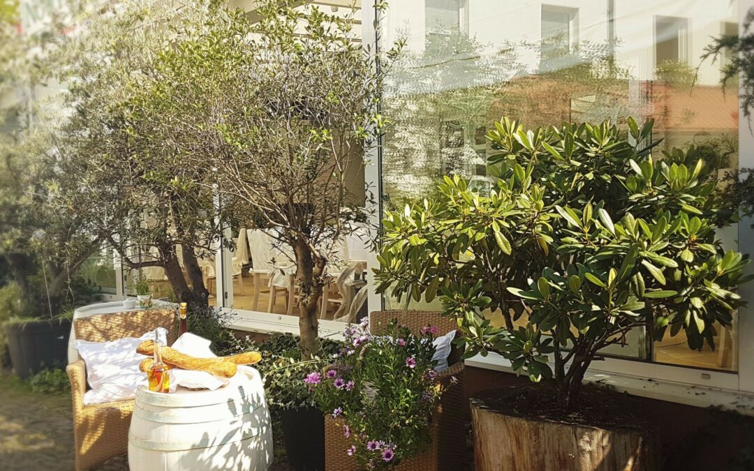 POWOLNE LATO W NOWYM ŚWIECIE