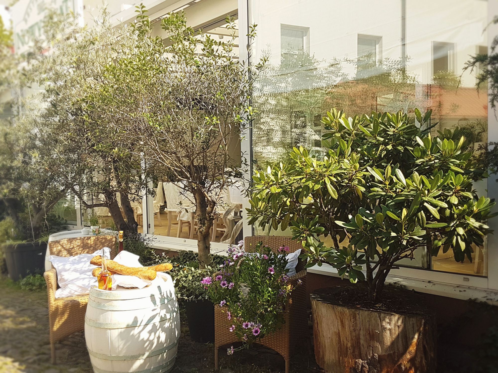 ogród restauracji Lato w restauracji Nowy Świat