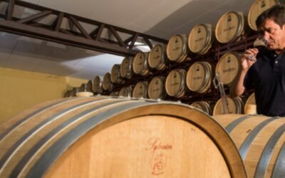 WINA NOWEGO ŚWIATA – HISZPAŃSKA WINNICA RODZINNA